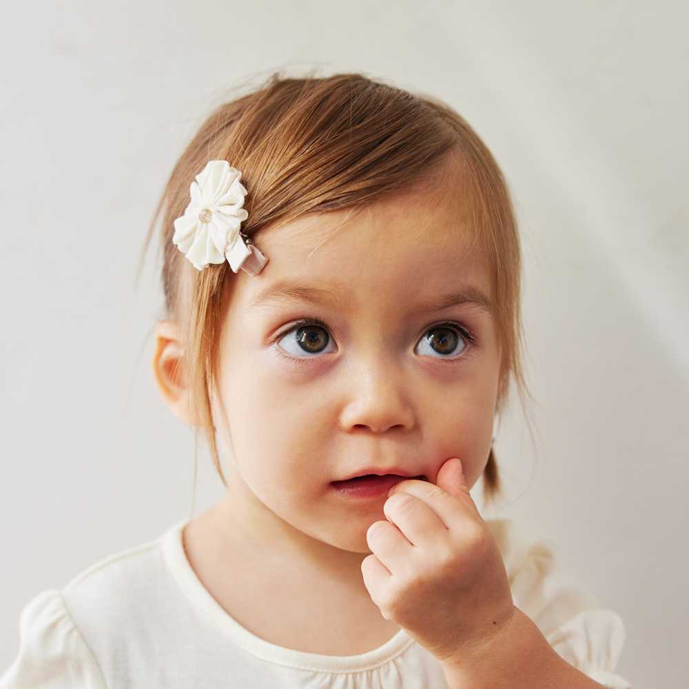 ちょうちょ ヘアクリップセット ピンク