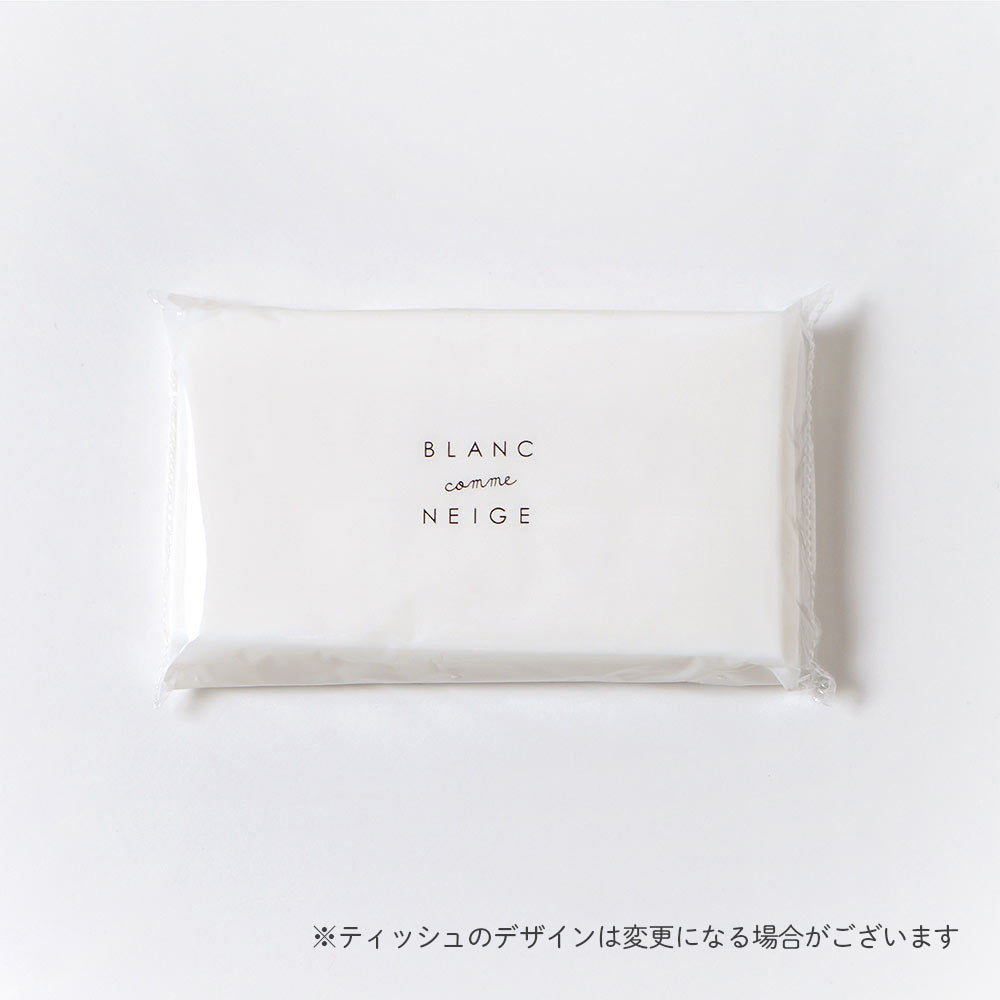 お受験 お子様用ティッシュケース エアプレイン