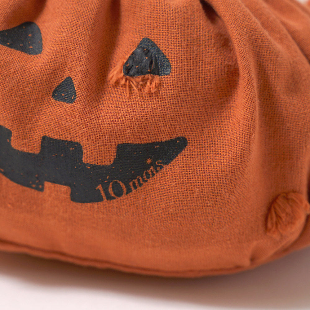プティクッキーボックス　Halloween　ジャック・オー・ランタン巾着付き ◎ / 秋限定