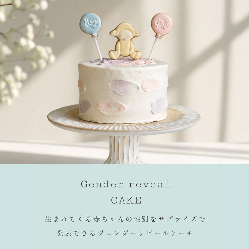 ジェンダーリビール ケーキ ◎　/ Atelier 10mois
