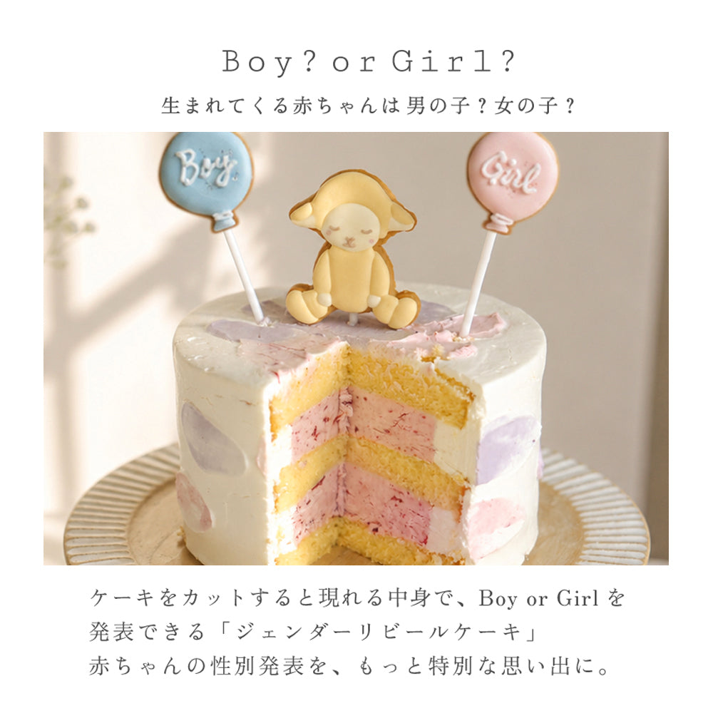 ジェンダーリビール ケーキ ◎　/ Atelier 10mois