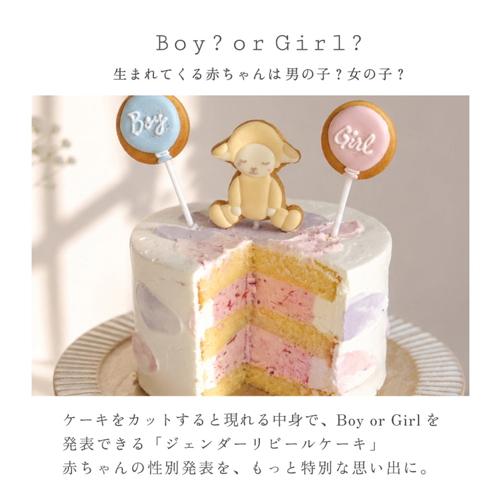ジェンダーリビール ケーキ ◎　/ Atelier 10mois