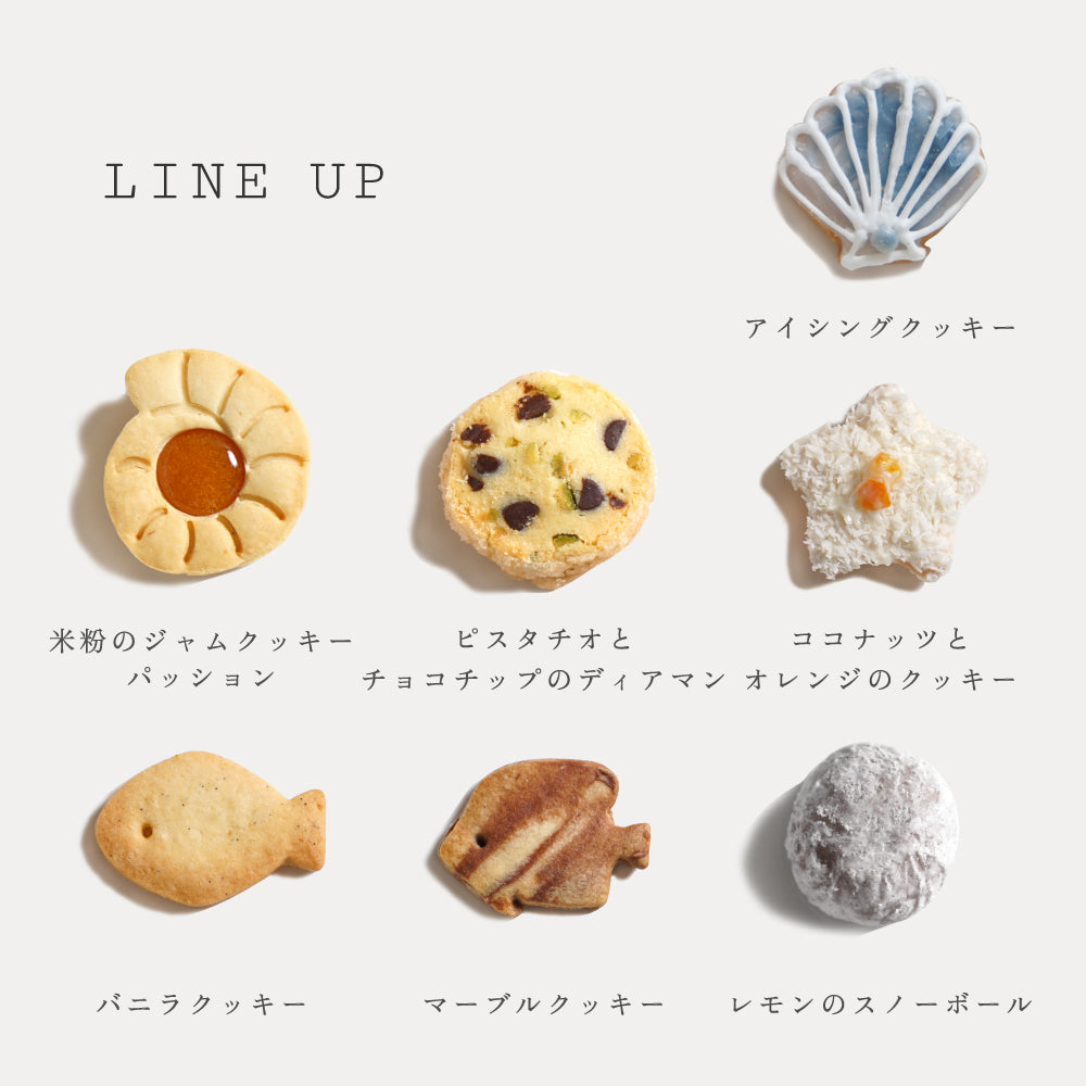 プティクッキーボックス　summer　◎ / 夏限定　5営業日後発送