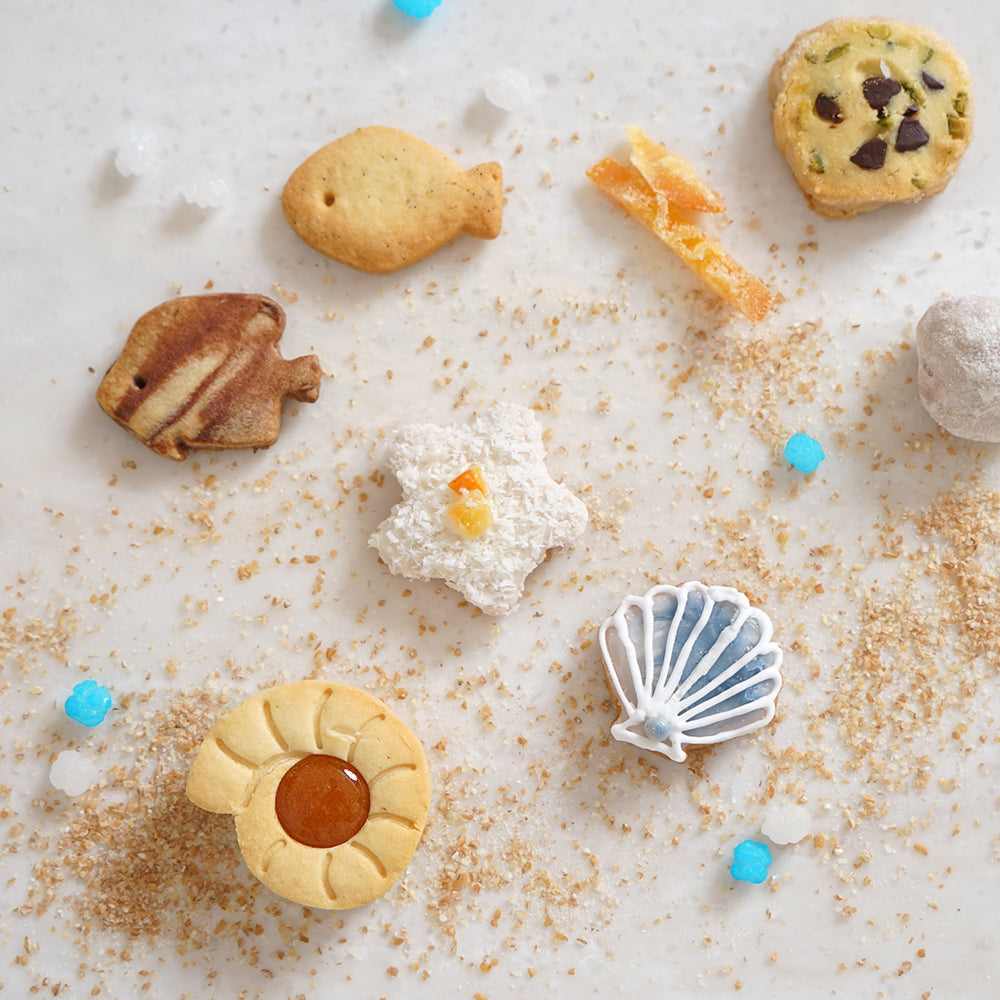 プティクッキーボックス　summer　◎ / 夏限定　5営業日後発送